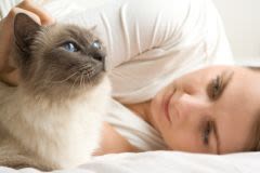 Parasites internes chez le chat : ne pas les sous-estimer