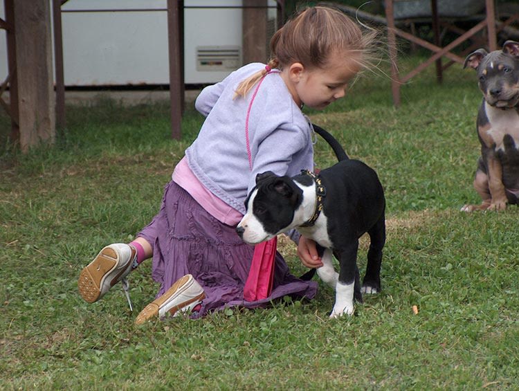 Vermifuger son chien : un geste essentiel