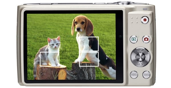 Un appareil photo qui repère les chats