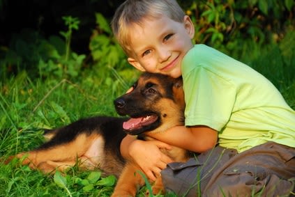 Vers et parasites internes : repérer leur présence chez le chien