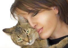 Allergies : le chat dénoncé comme « grand » responsable