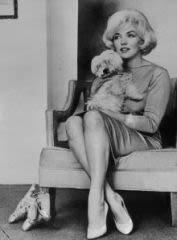 Maf le chien de Marilyn : il nous raconte sa vie