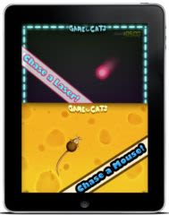 Un jeu pour chat sur l&rsquo;iPad !