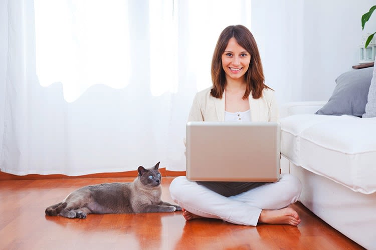 Les chats seraient plus proches des femmes que des hommes