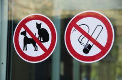Chats et chiens américains dopés au… cannabis !