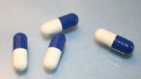 Médicaments humains: ne pas les administrer au chien et chat