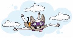 Un chat survit à une chute du 19eme étage