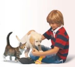 Parasites digestifs du chien et chat : un risque pour tous