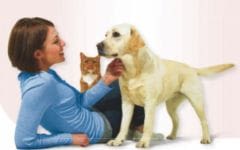Parasites chien et chat : une lutte régulière et collective