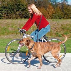 Faire du vélo avec son chien : choisir son équipement