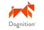 Une application web pour étudier le « QI » de son chien