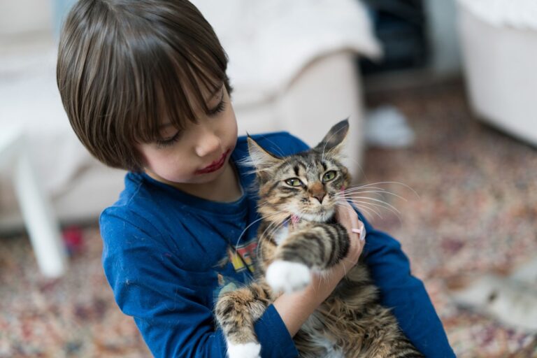 Maladie des griffes du chat: une bactérie transmise par la puce