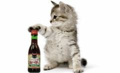 Du vin rouge pour les chats