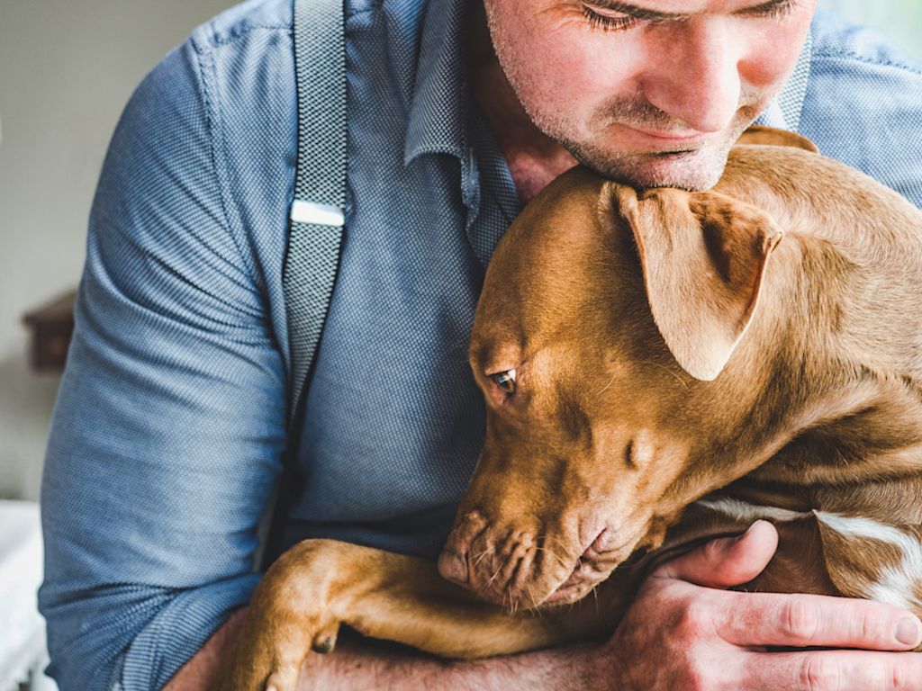 chien et son maître
