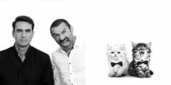 Trouver le chaton qui ressemble à… votre patron !