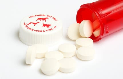 Ne pas acheter de médicaments pour chien et chat sur le Net