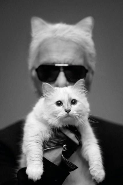 Choupette : le chat de Karl Lagerfeld se maquille cet hiver