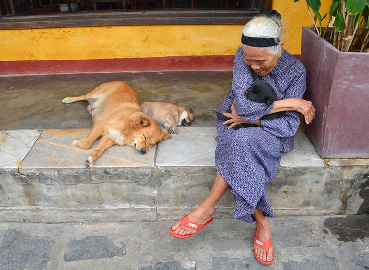 Le chat : un met apprécié tout comme le chien au Vietnam