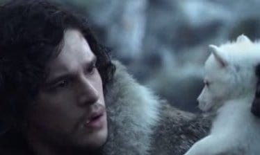 Le Husky : trop à la mode à cause d’une série TV