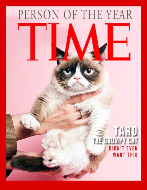 Grumpy Cat : un chat qui rapporte gros !