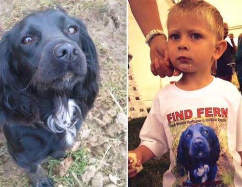 Un petit garçon écrit au ravisseur de son chien