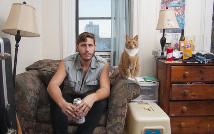 Les hommes aussi préfèrent… les chats !