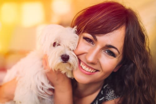 Votre chien vous aime ? C’est… hormonal !