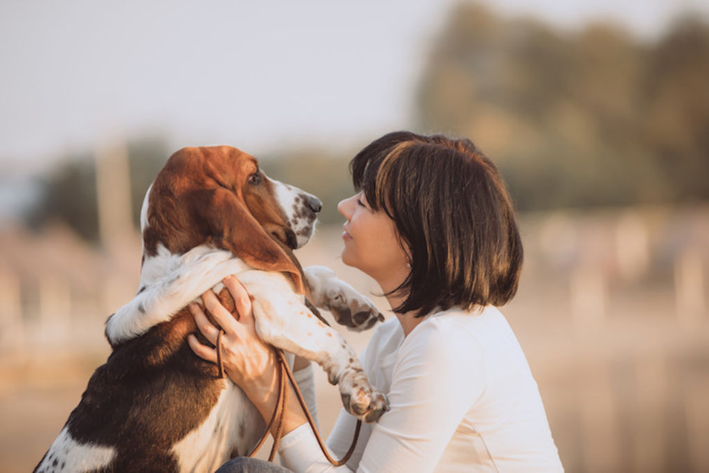 chien_amoureux_de_sa_ma&icirc;tresse