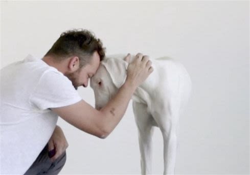 Il filme son chien pour « célébrer » sa survie !