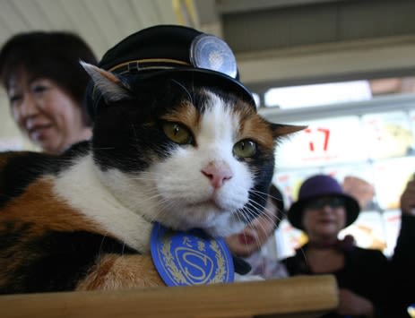 Japon: le chat Tama, chef de gare, est décédé