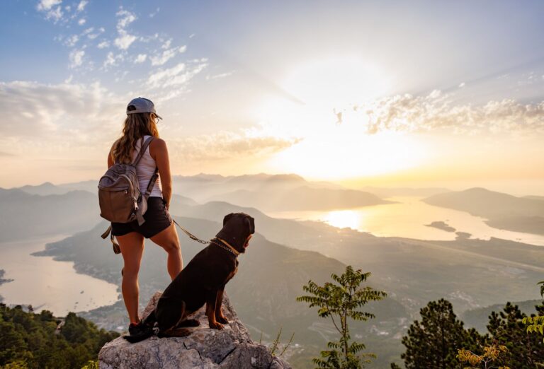 Faire de la randonnée avec son chien