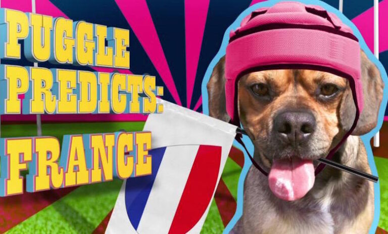 Le chien qui prédit les résultats des matches de rugby
