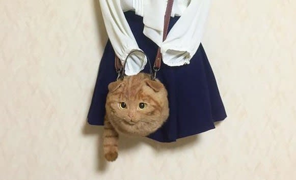 Le Japon met les chats en sacs !