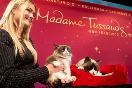 Grumpy Cat a son sosie au Musée de Mme Trussauds
