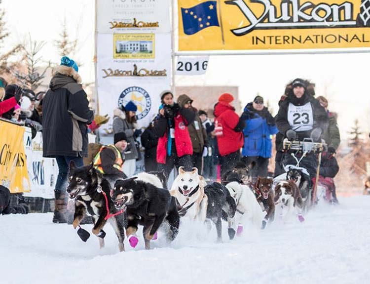 Traîneau du Destin : la course est lancée !