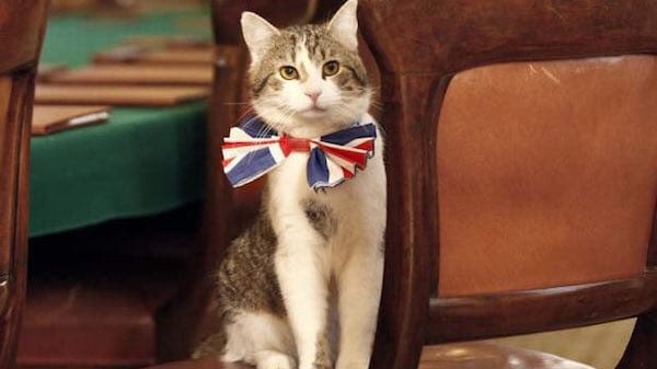 Le chat Larry reste au 10, Downing Street !
