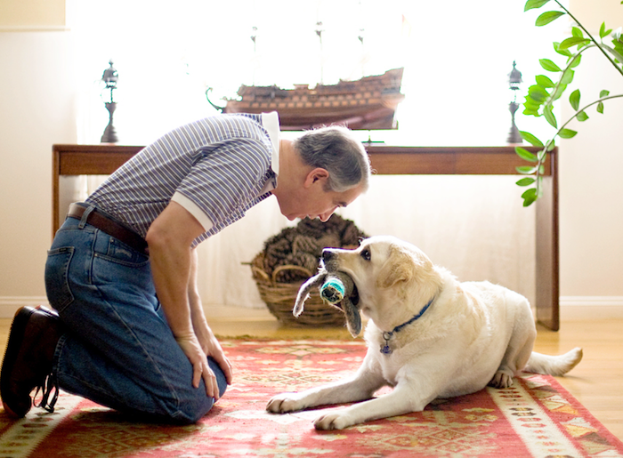 Maîtres et chiens : de grandes histoires d’amour !