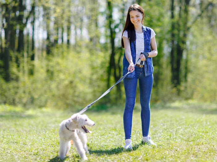 Promener son chien procure un sentiment de sécurité