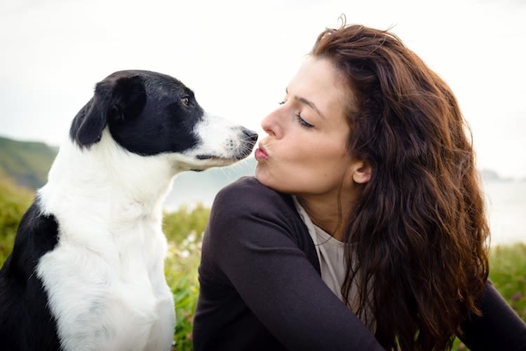 Italie : des congés payés pour soigner son chien malade