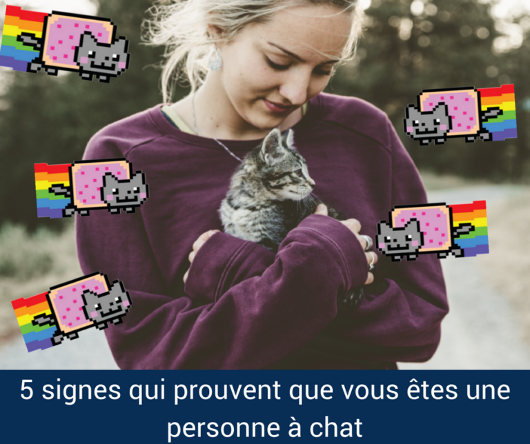5 signes qui prouvent que vous êtes une personne à chat