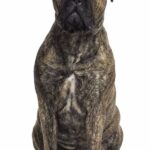 Bullmastiff