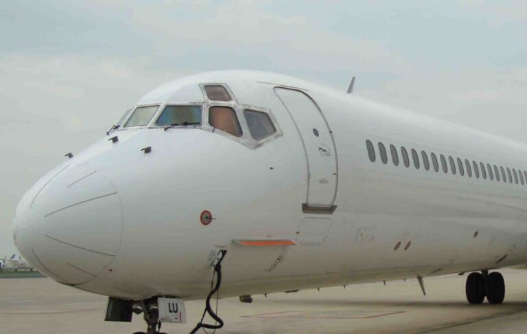 « Détournement » d&rsquo;un avion pour cause de morsure de chien