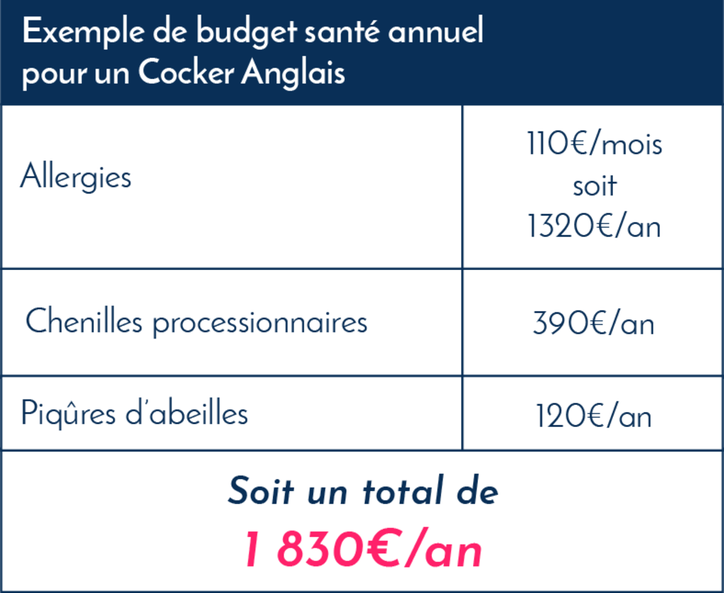 cocker_anglais_frais_veterinaires