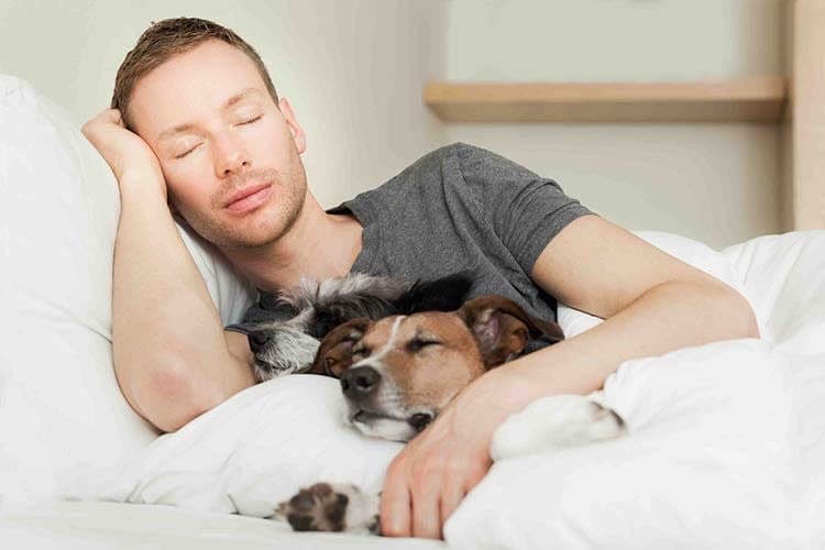 Les Français ne sont pas permissifs avec leurs animaux