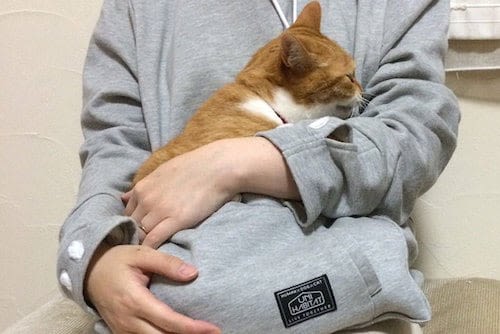 Un sweat pour transporter son chat partout avec soi !