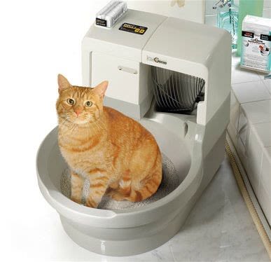 Litières pour chats : les hackers piratent les systèmes