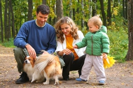 Tiques chien et chat : toujours présentes et dangereuses