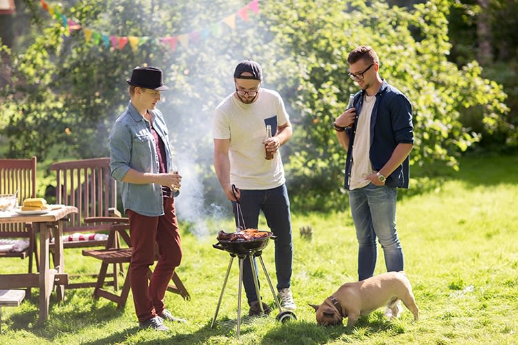 Barbecue : un danger potentiel pour les chiens et chats