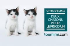 Chiens et chats bradés sur le Net, une campagne de mise en garde