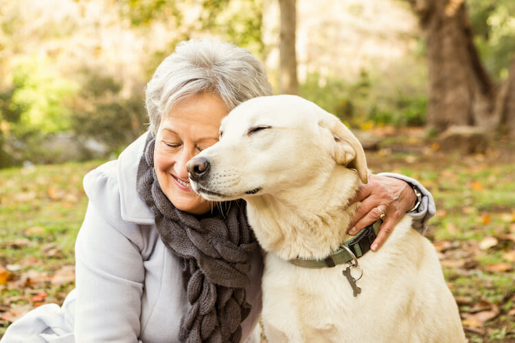 Quel âge en équivalent humain a vraiment mon chien ?